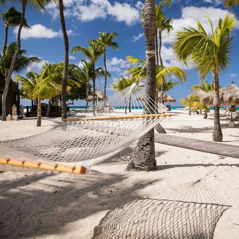 A hammock on the beach with palm trees in the background.