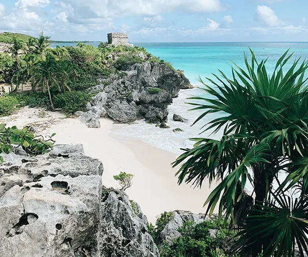 A beach with palm trees and rocks on the shore.