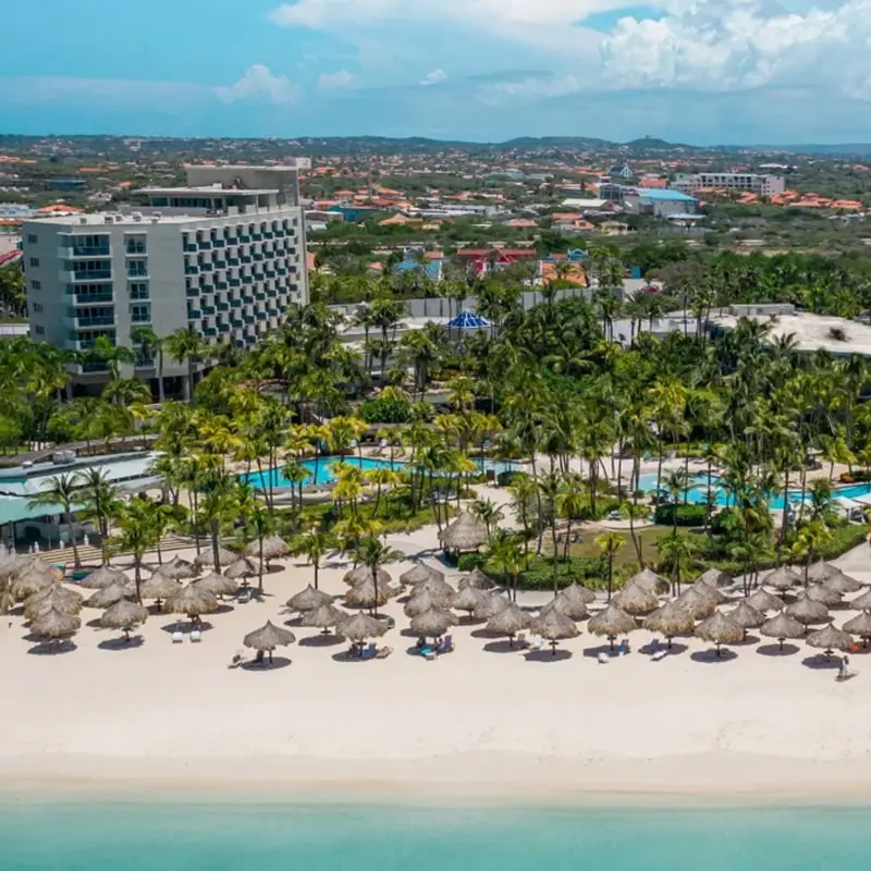 A view of the beach and resort from above.