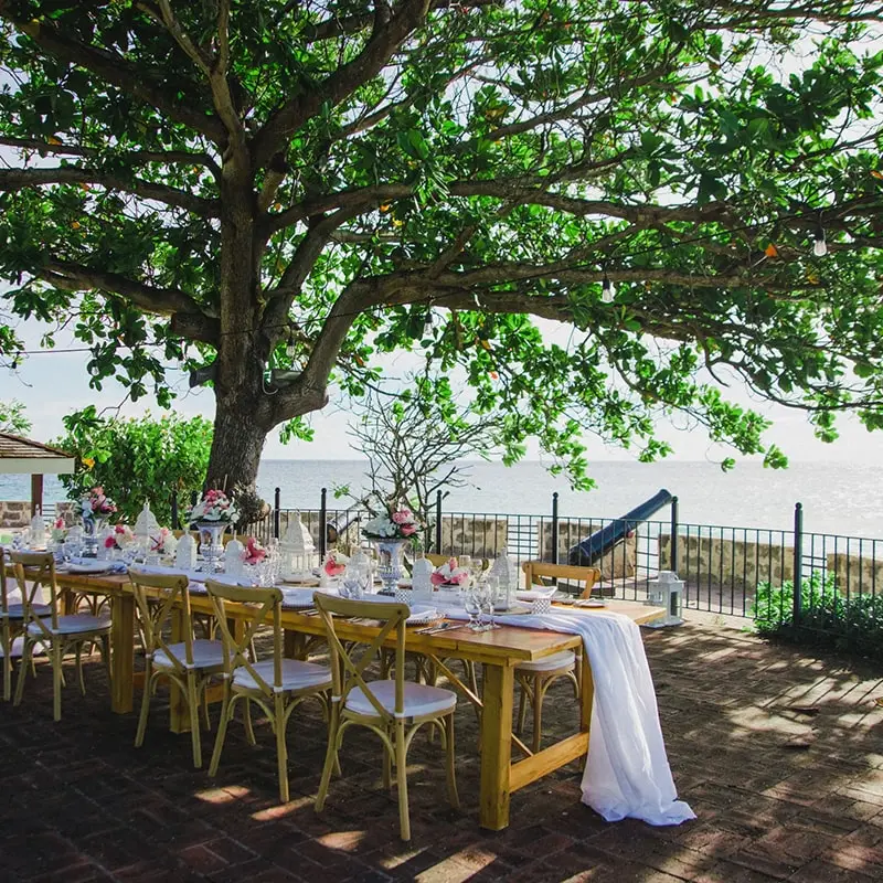 A long table with chairs and a tree