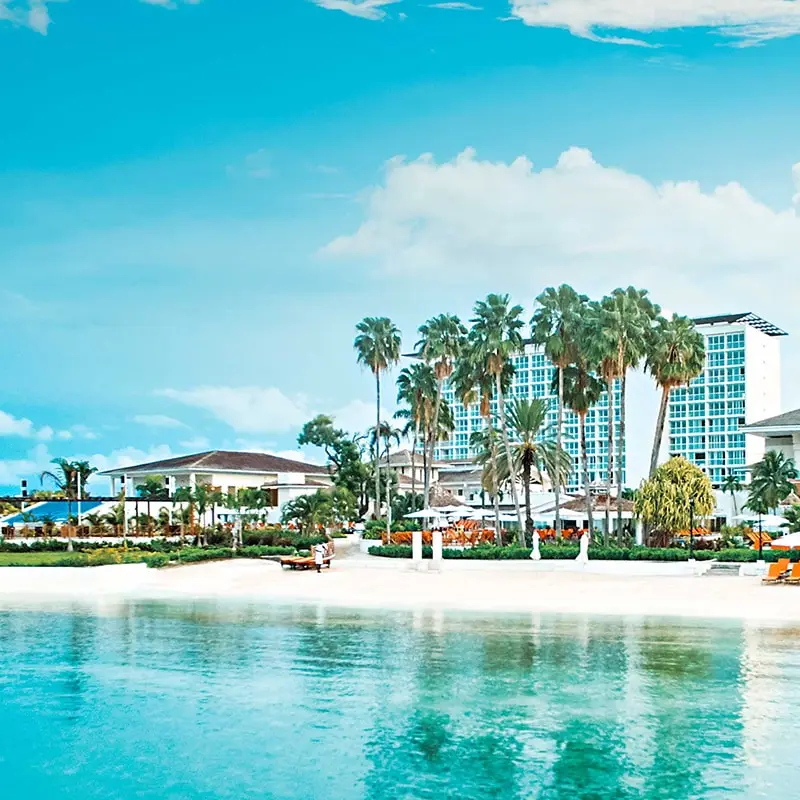 A beach with palm trees and buildings in the background.