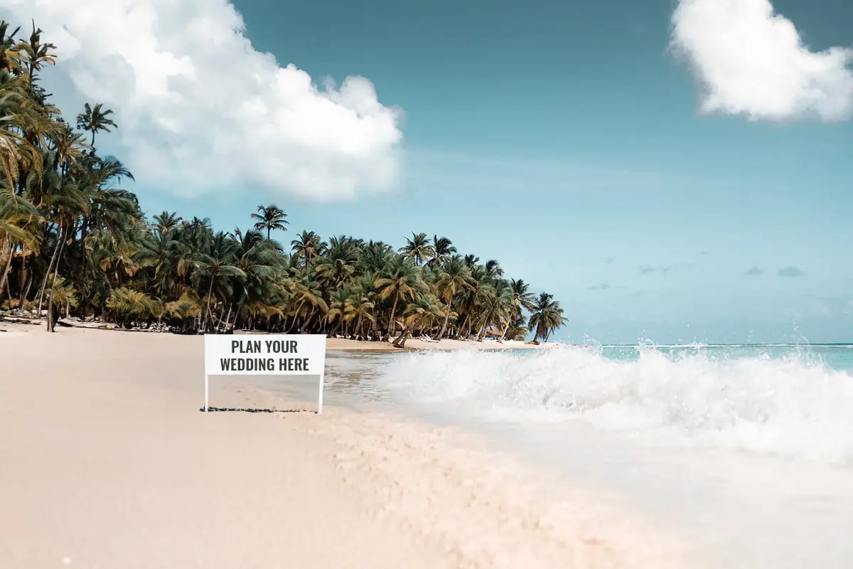 A sign on the beach with palm trees in the background.