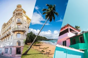 A collage of different buildings and palm trees.