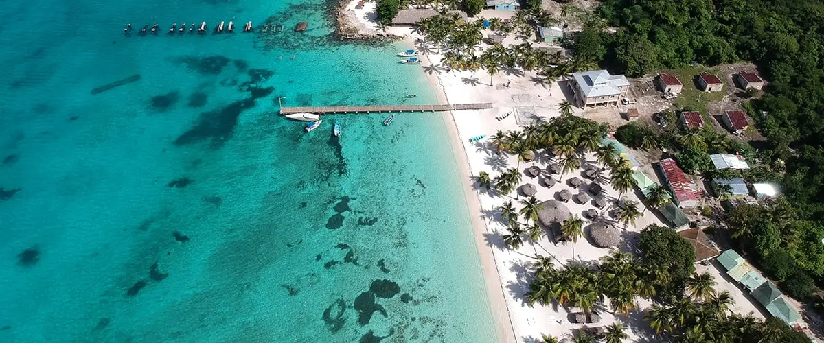 A beach with lots of palm trees and blue water.