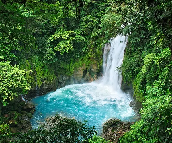 A waterfall surrounded by trees and water.