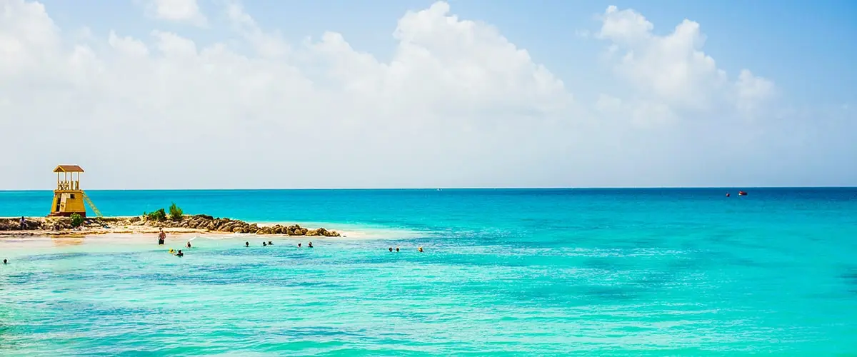 A group of people swimming in the ocean.