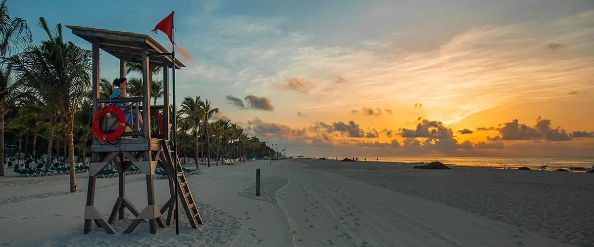 A beach with palm trees and the sun setting.