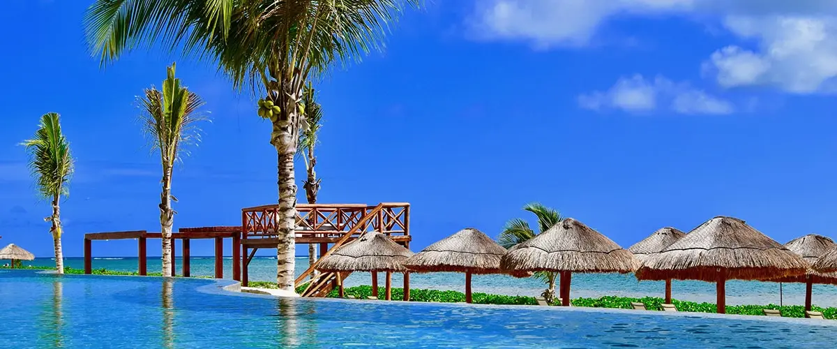 A pool with palm trees and some grass huts