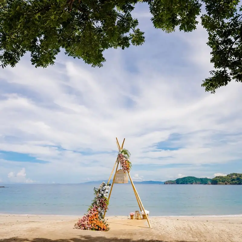 A beach with trees and a tent on the sand