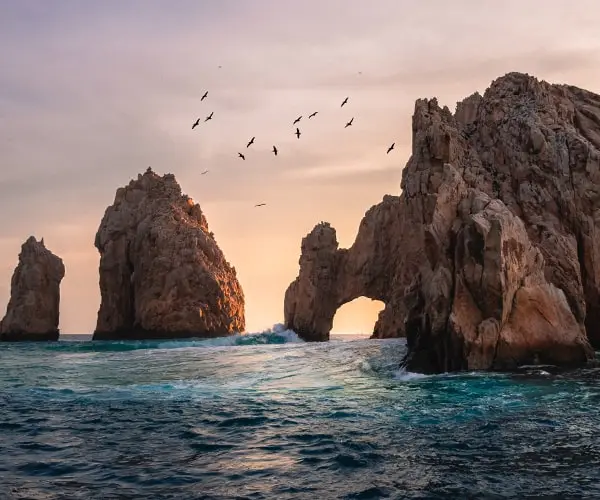 A flock of birds flying over the ocean.