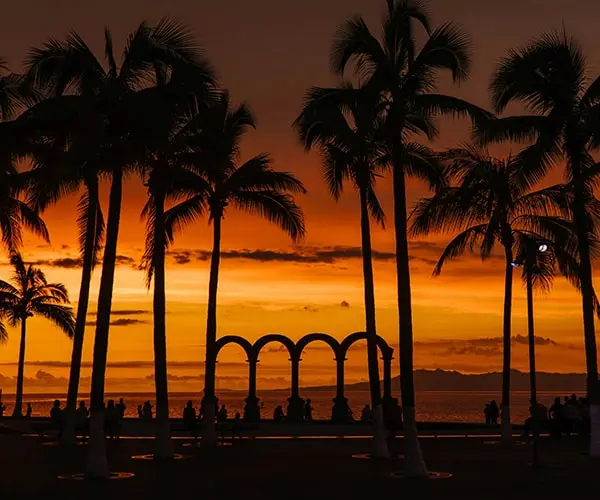 A sunset with palm trees and people sitting on the beach.