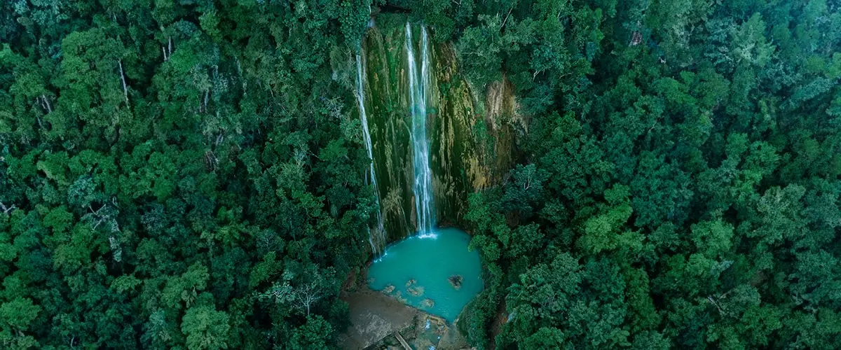 A waterfall is shown from above with trees.