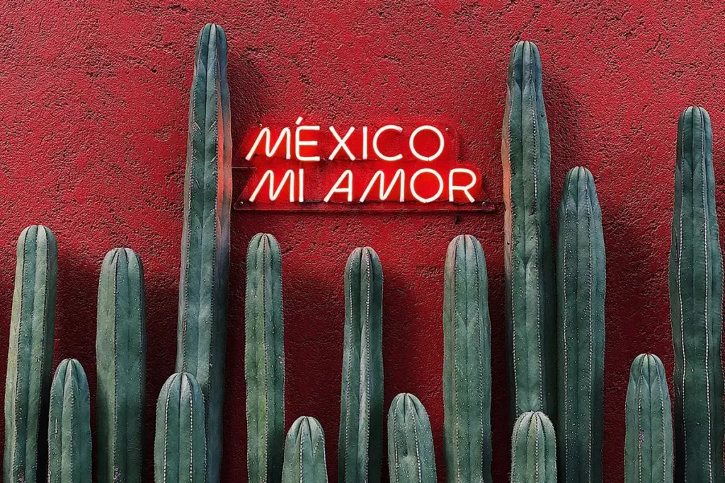 A red wall with some green cactus and a sign