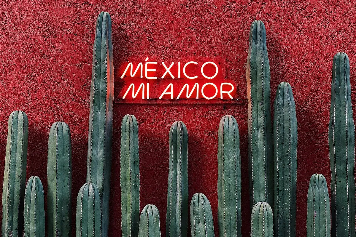 A red wall with some green cactus and a sign